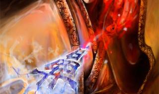 三国杀伏完 三国杀伏完