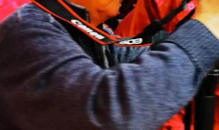 兔年新春祝福老师 兔年新春祝福老师