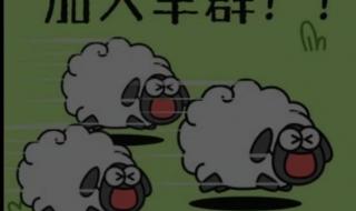 羊了个羊的羊图片