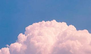 点滴归公指什么生肖